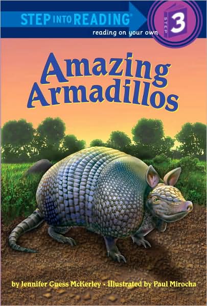 SIR(Step3):Amazing Armadillos