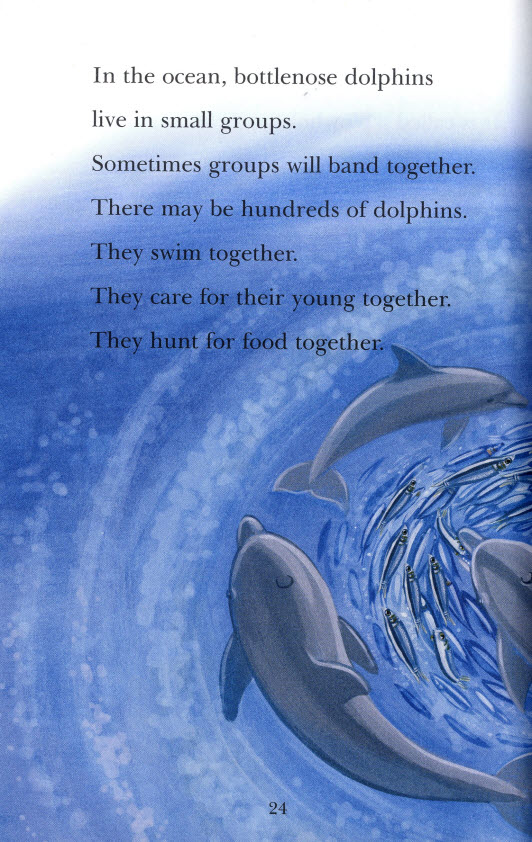 러닝캐슬 시니어 A-21-Do Dolphins Really Smile? (Student's Book +Workbook)