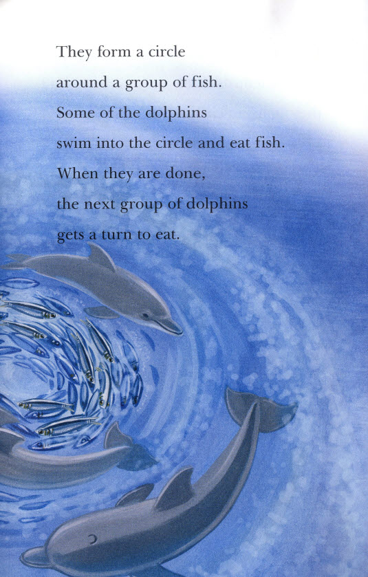러닝캐슬 시니어 A-21-Do Dolphins Really Smile? (Student's Book +Workbook)