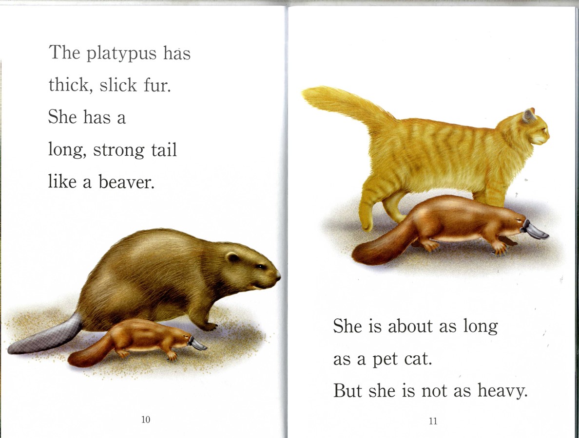 Step into Reading(Step2): Platypus! (Book+CD+Workbook)