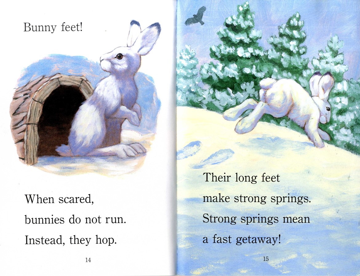 Step into Reading(Step2): Whose Feet? (Book+CD+Workbook)