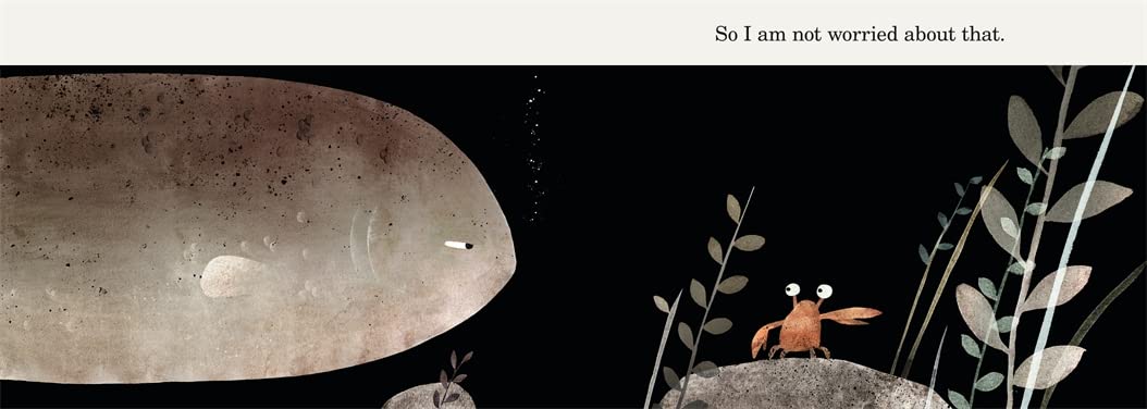 이건 내 모자가 아니야 This is Not My Hat (Paperback) [Caldecott 수상작] [존 클라센 작가]