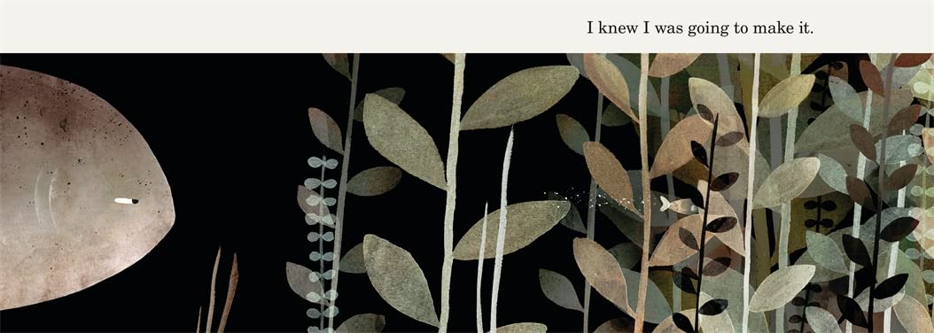 이건 내 모자가 아니야 This is Not My Hat (Paperback) [Caldecott 수상작] [존 클라센 작가]