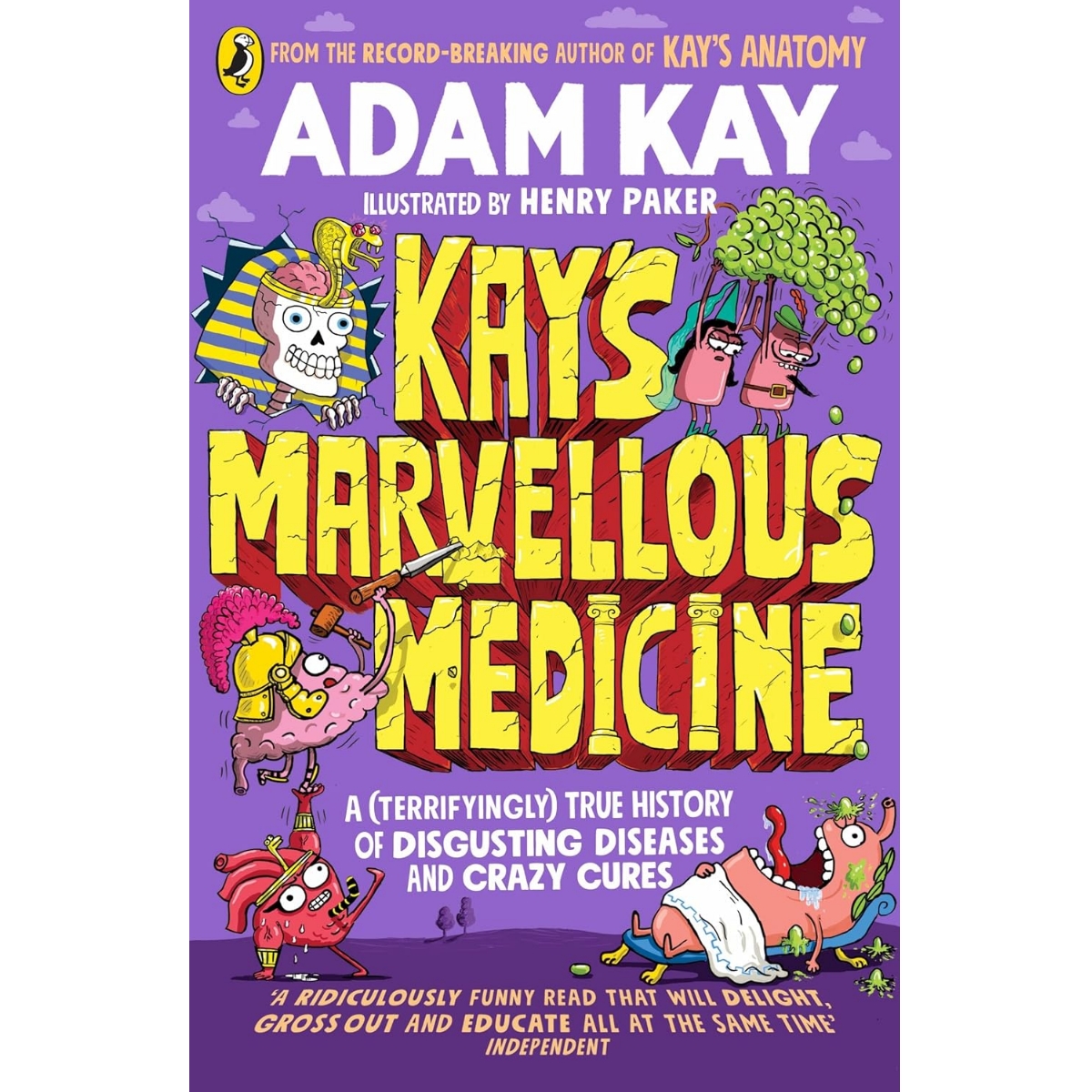 닥터 K의 오싹한 의학 미스터리1 Kay's Marvellous Medicine (Paperback)