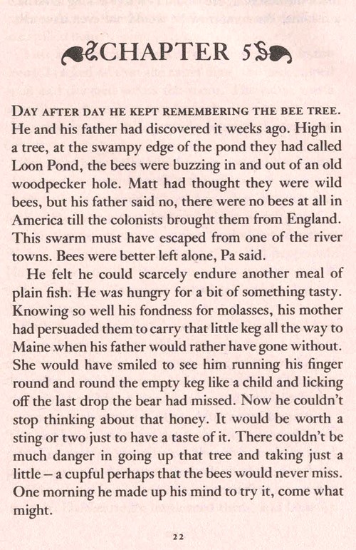 The Sign Of The Beaver (리딩레벨 5.0↑) [Newbery 수상작]