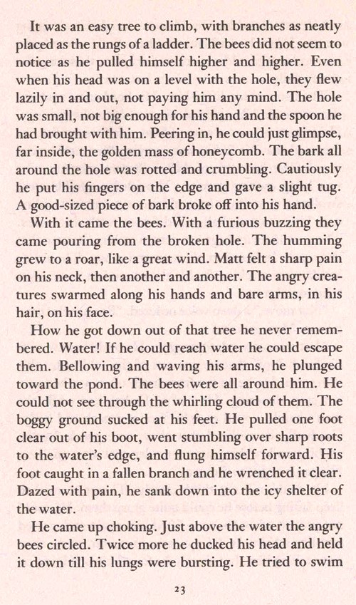 The Sign Of The Beaver (리딩레벨 5.0↑) [Newbery 수상작]
