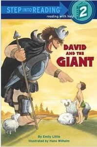 SIR(Step2):David and the Giant***