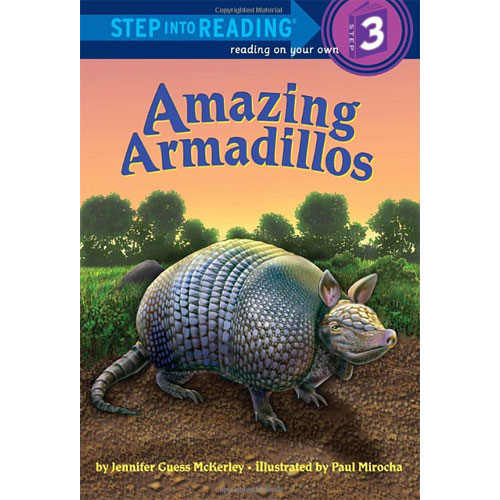 [행사]RH-SIR(Step3):Amazing Armadillos