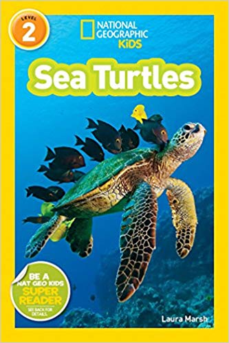 National Geographic Kids Level 2 Sea Turtles