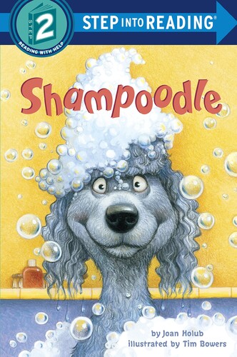SIR(Step2):Shampoodle