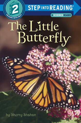 [행사]RH-SIR(Step2):The Little Butterfly