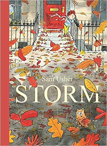 STORM (Paperback)