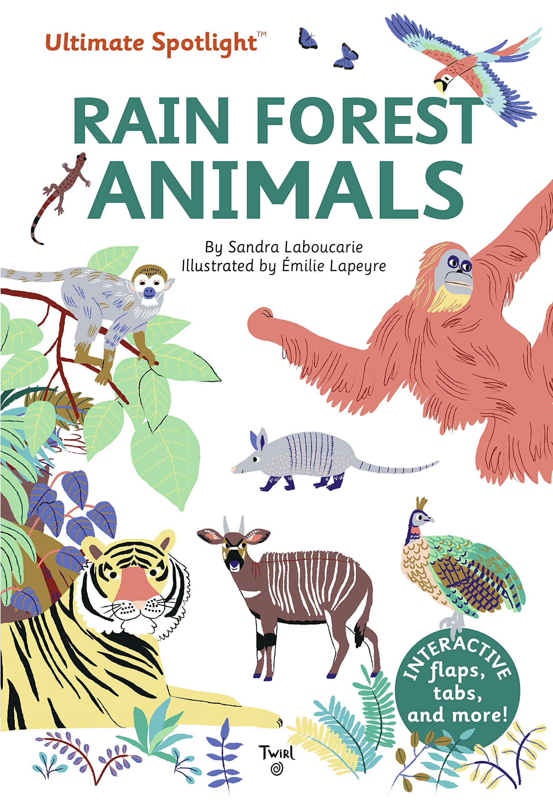 Ultimate Spotlight: Rain Forest Animals (Hardcover)