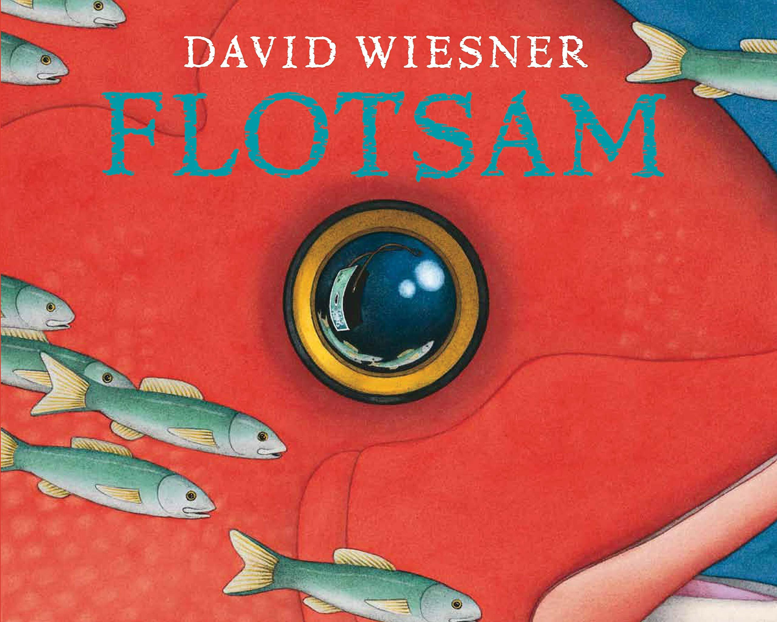 Caldecott:Flotsam (Paperback)