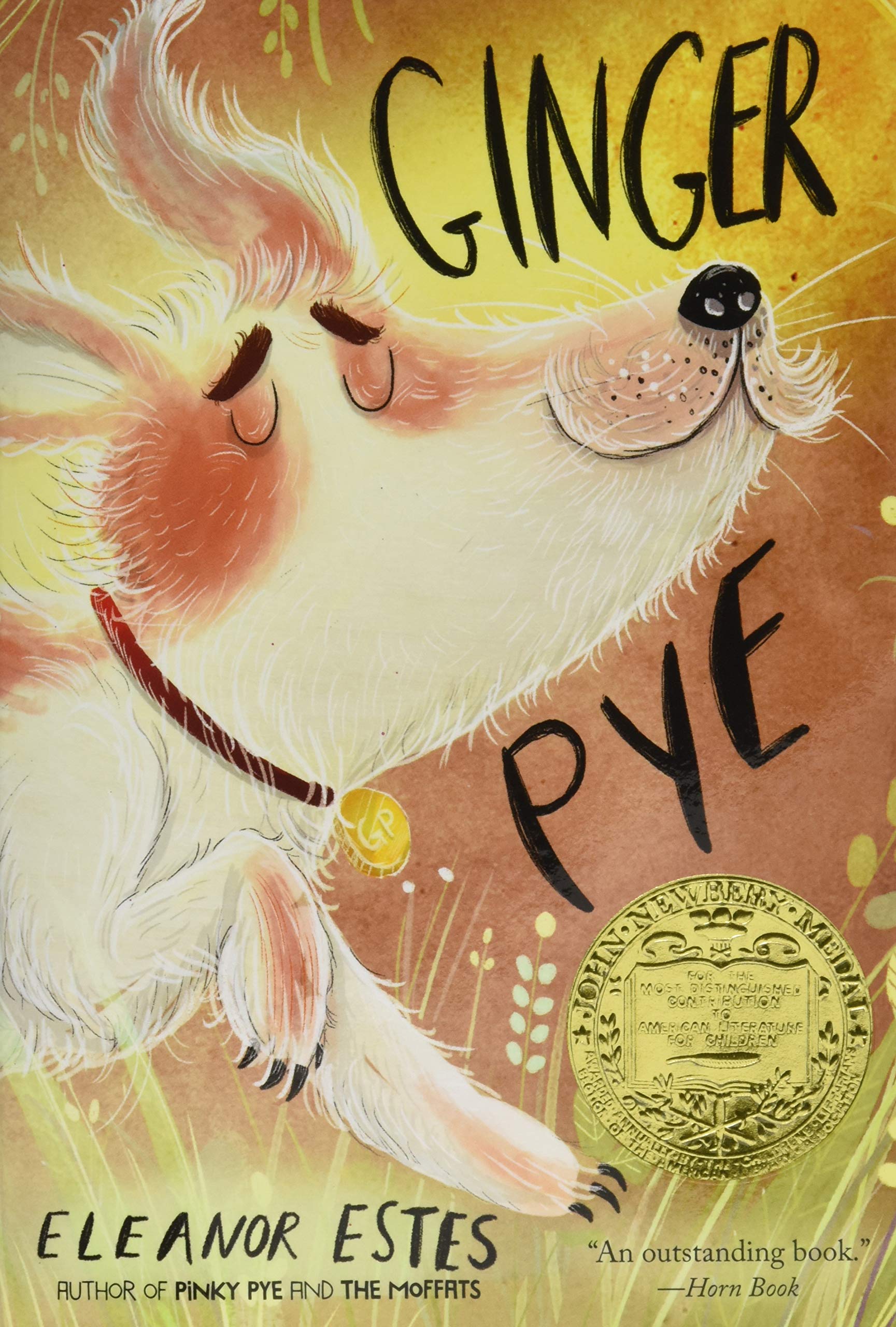 Ginger Pye [Newbery 수상작]
