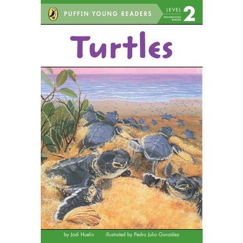 PYR:Turtles (Young Reader Lvl.2)