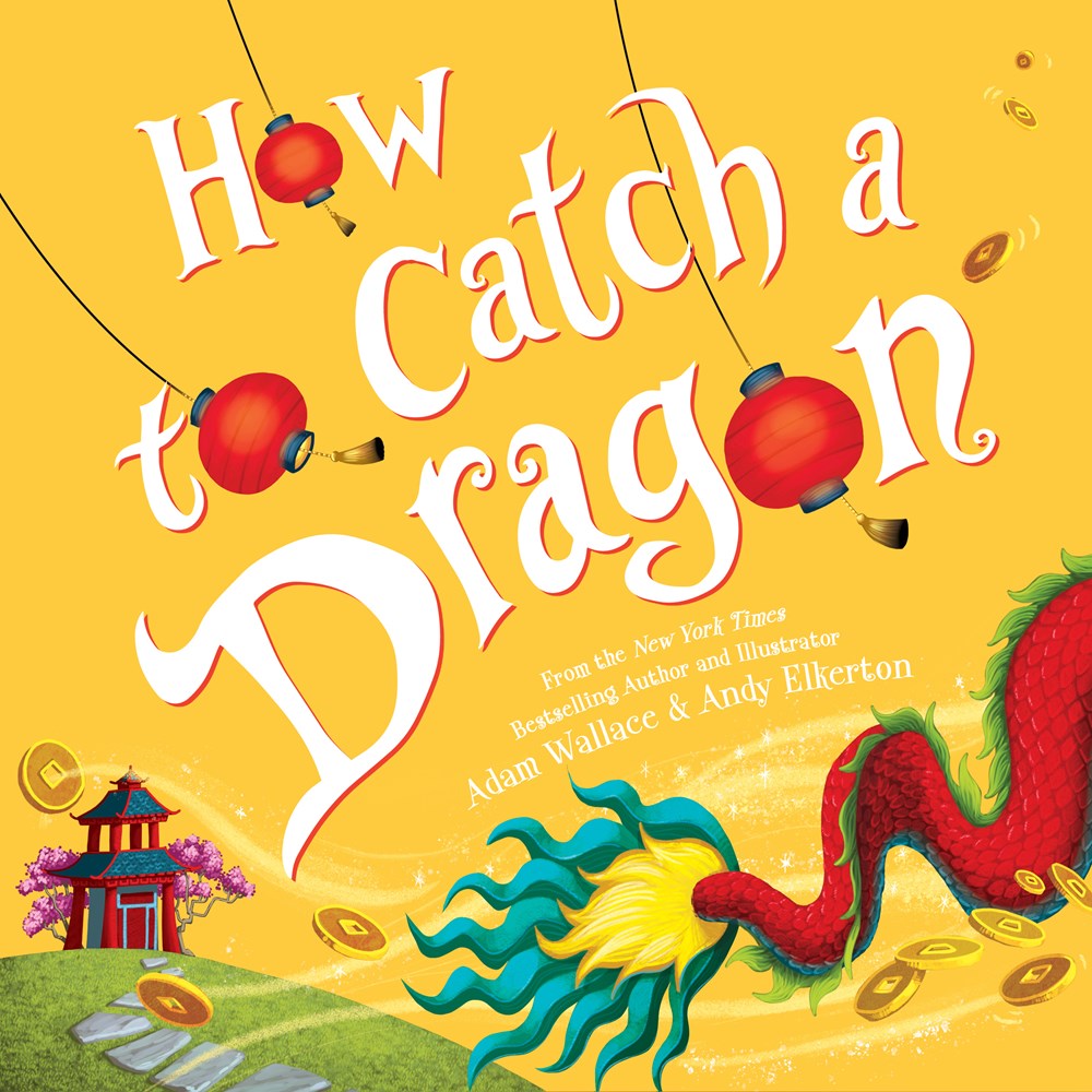 How to Catch a Dragon (Hardcover)