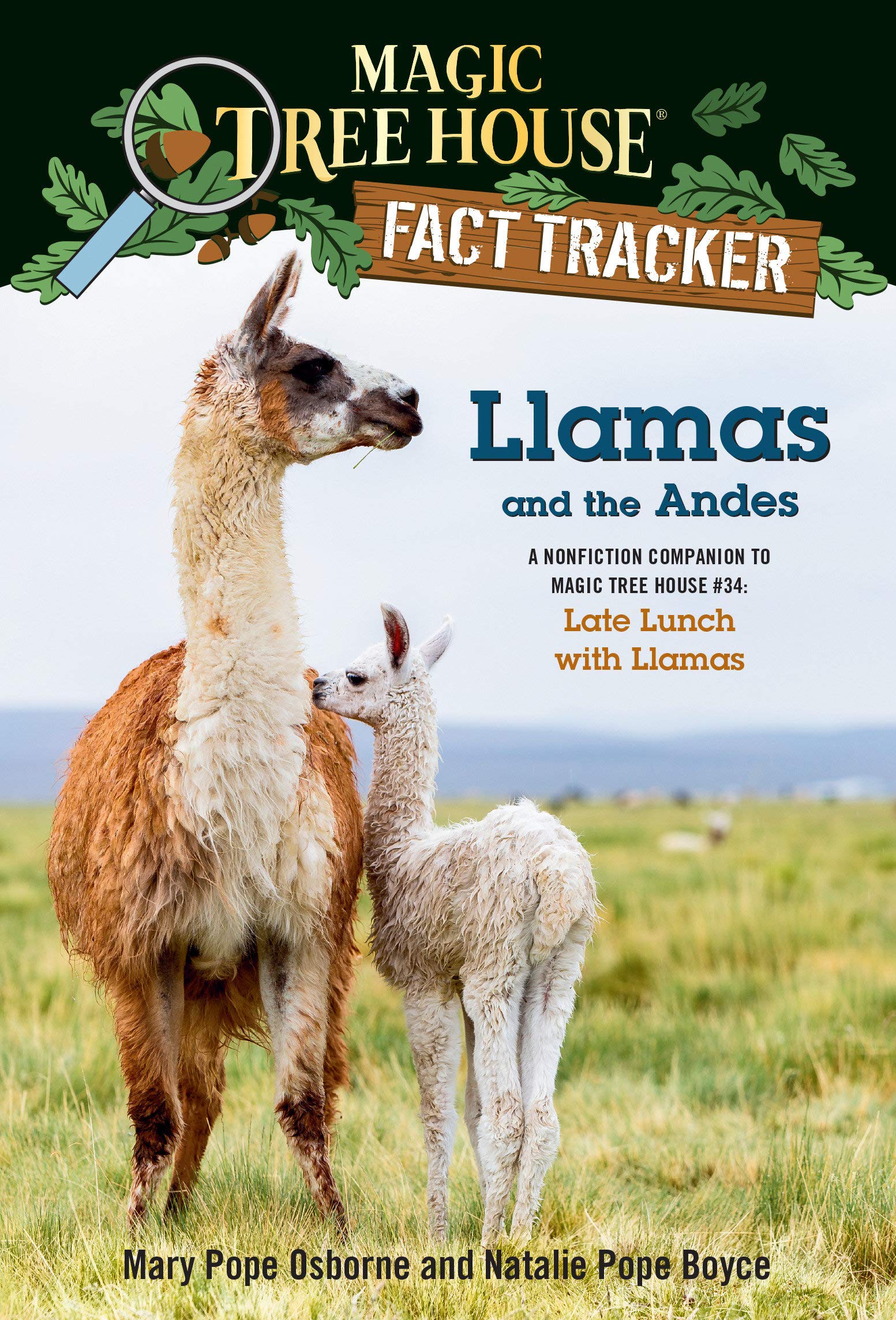Magic Tree House Fact Tracker #43 Llamas and the Andes