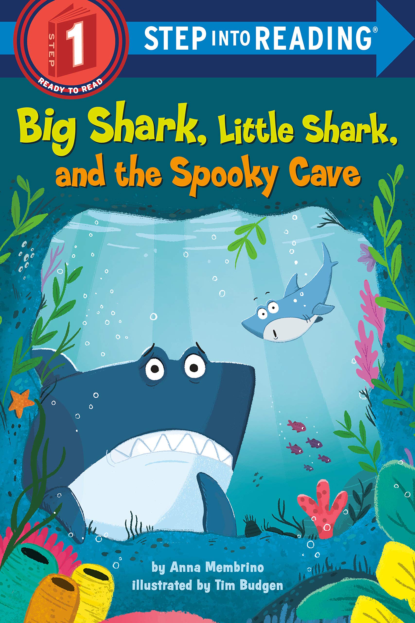SIR(Step1):Big Shark, Little Shark, and the Spooky Cave