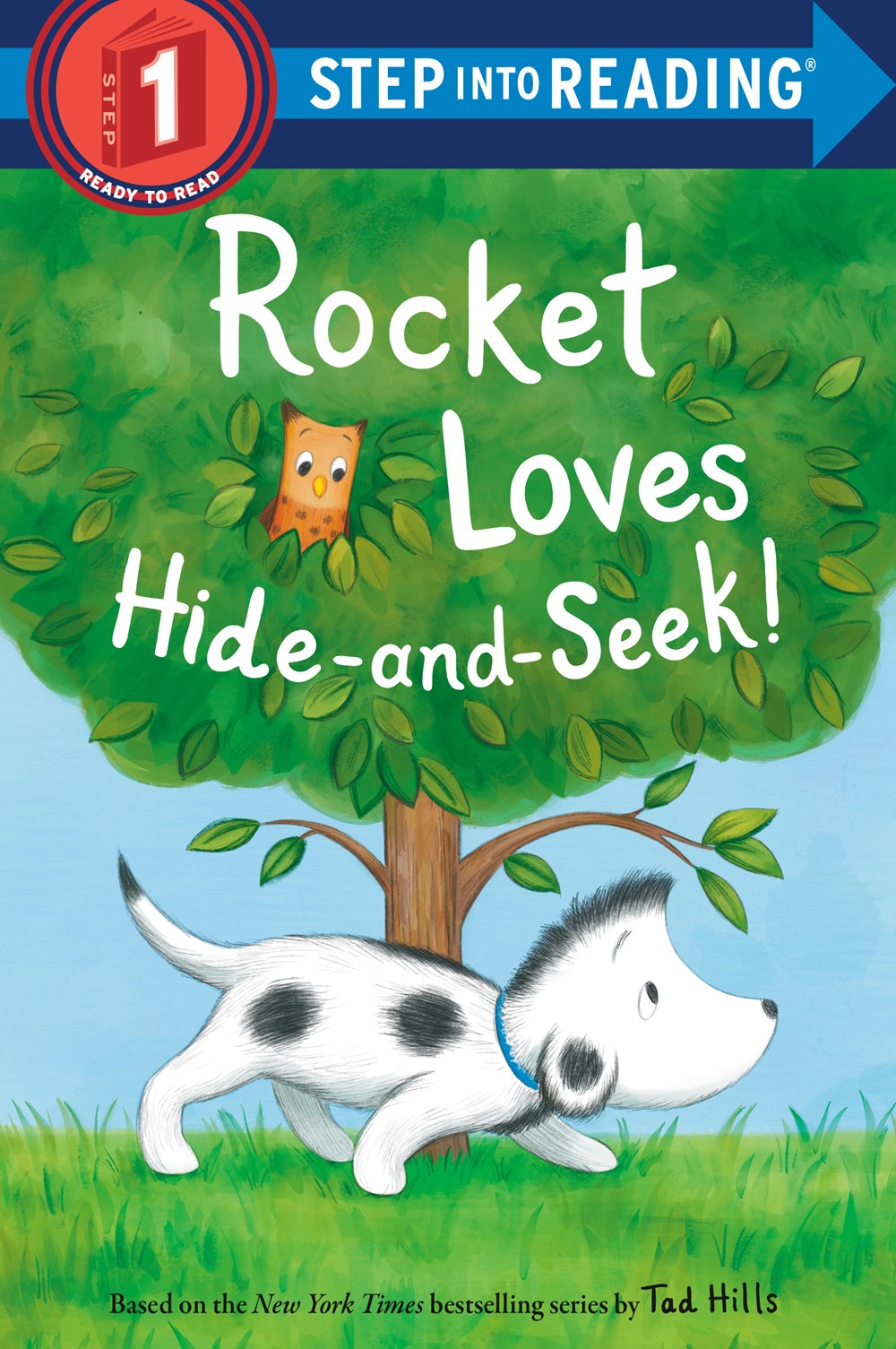 SIR(Step1):Rocket Loves Hide-And-Seek!