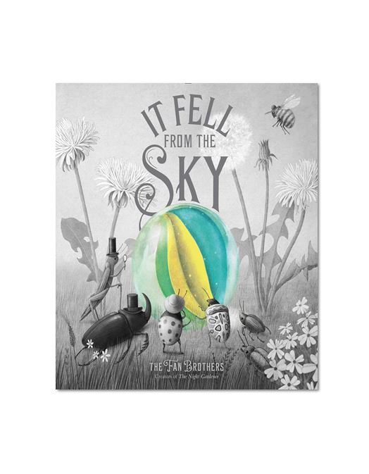 IIt Fell From The Sky (Paperback)