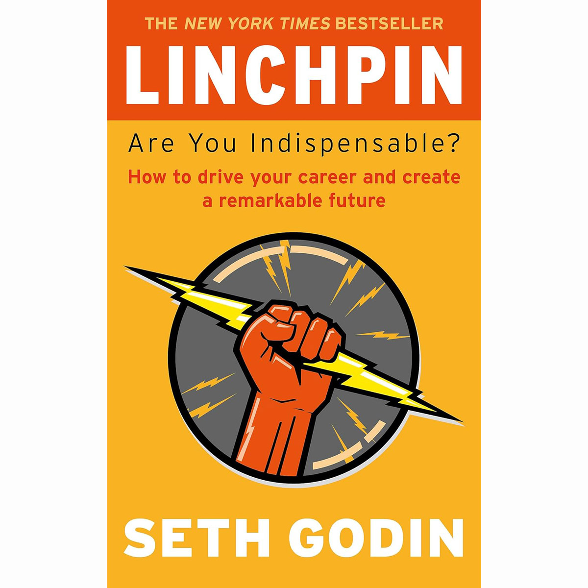 린치핀 Linchpin: Are You Indispensable? How to drive your career and create a remarkable future (P, 영국판)