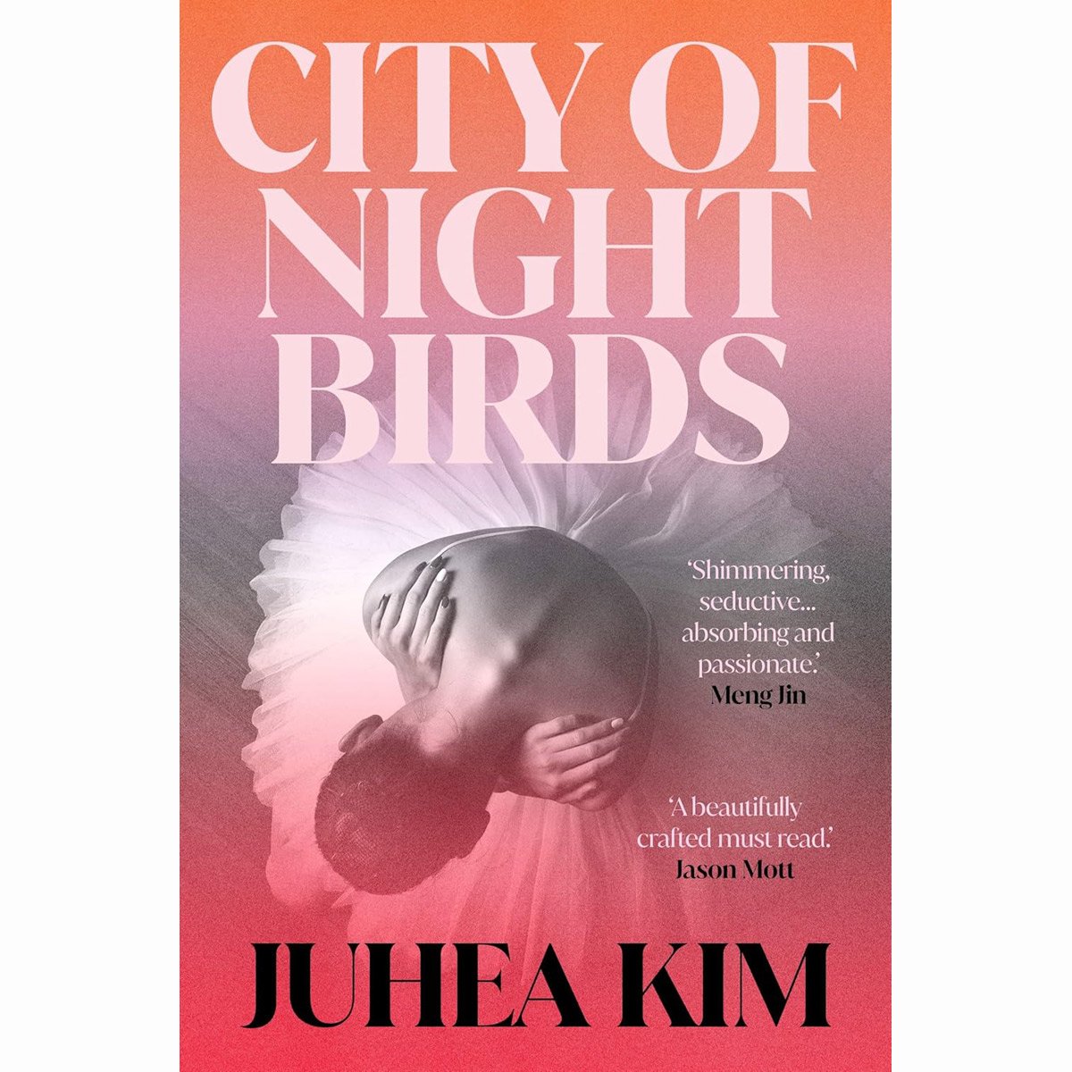 City Of Night Birds (Paperback)