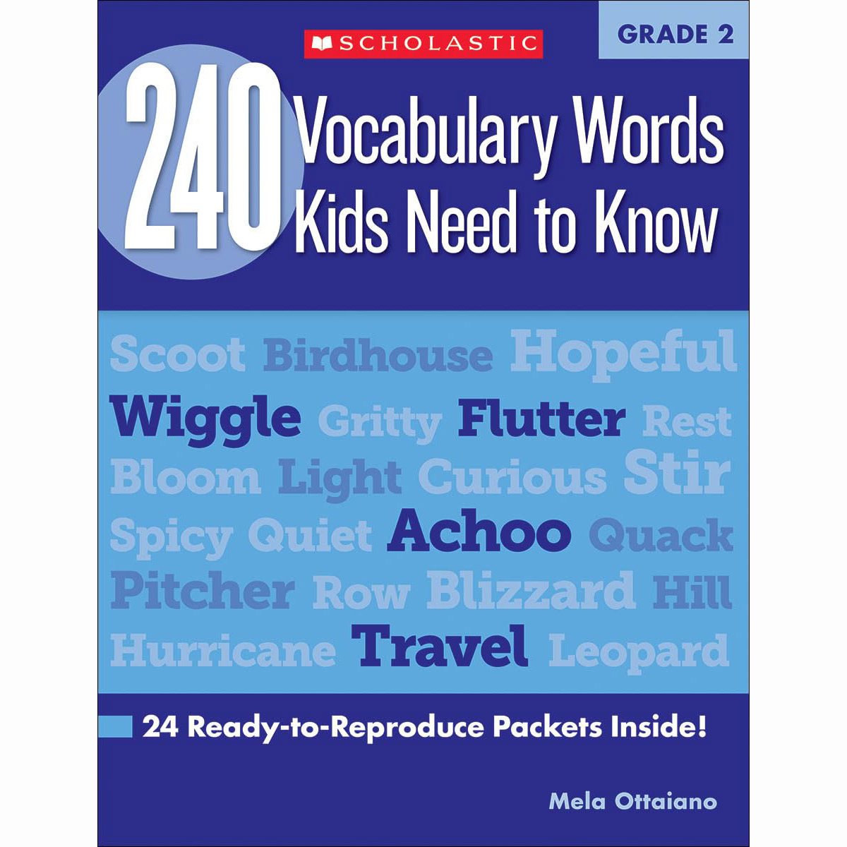 240 Vocabulary Words Kids Need to Know: Grade 2: 24 Ready-to-Reproduce Packets Inside!