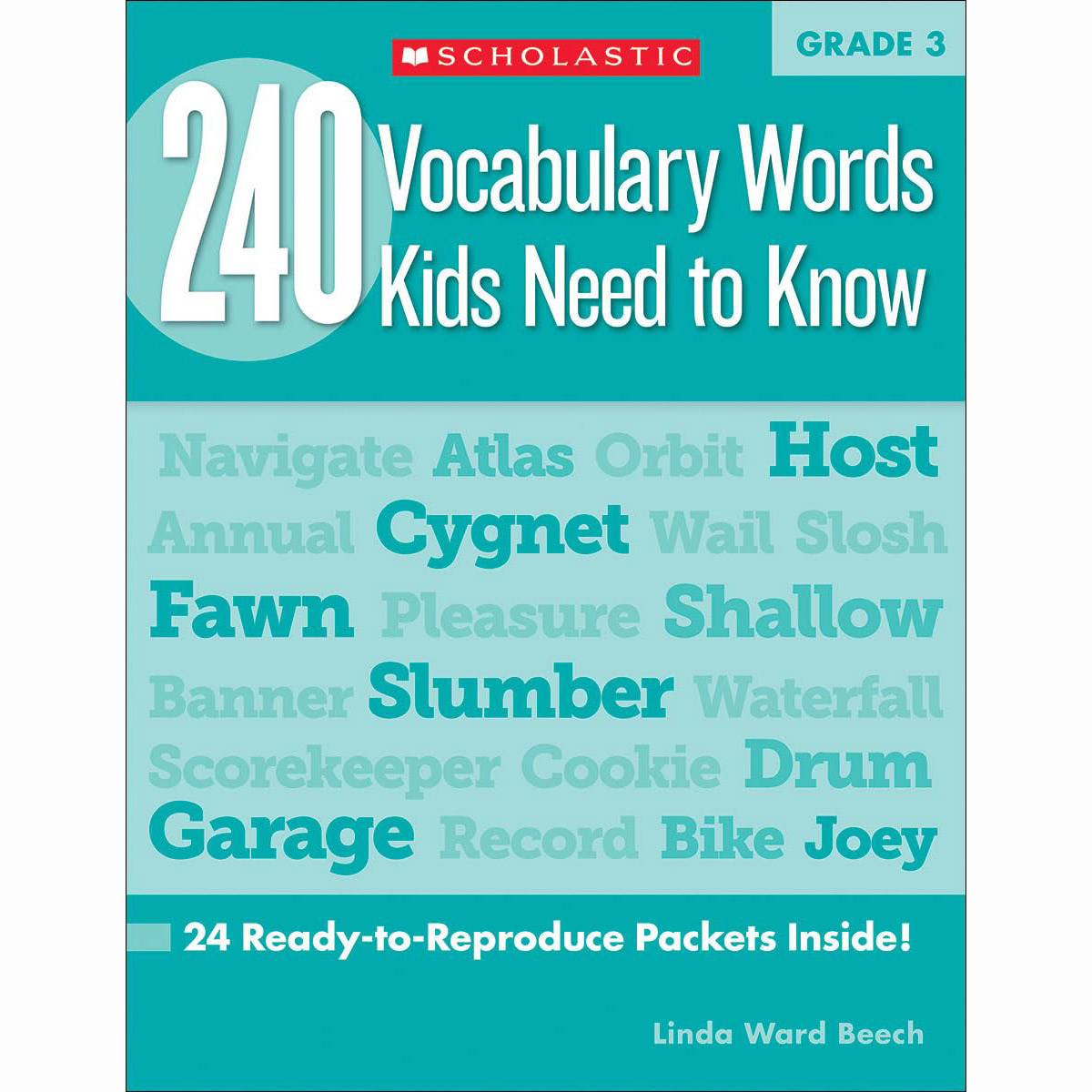240 Vocabulary Words Kids Need to Know: Grade 3: 24 Ready-to-Reproduce Packets Inside!