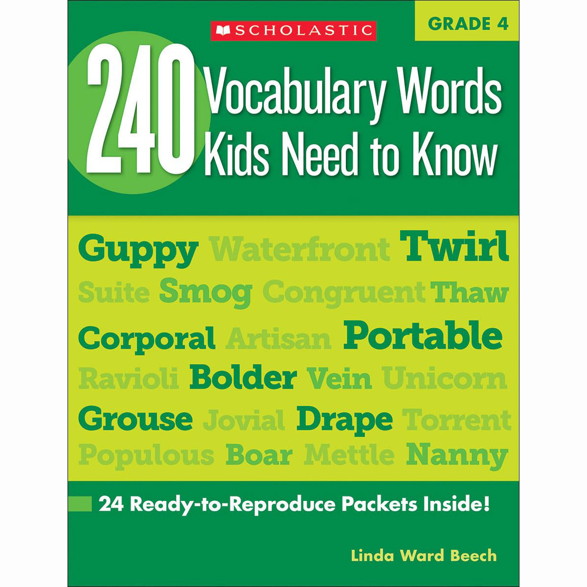 240 Vocabulary Words Kids Need to Know: Grade 4: 24 Ready-to-Reproduce Packets Inside!
