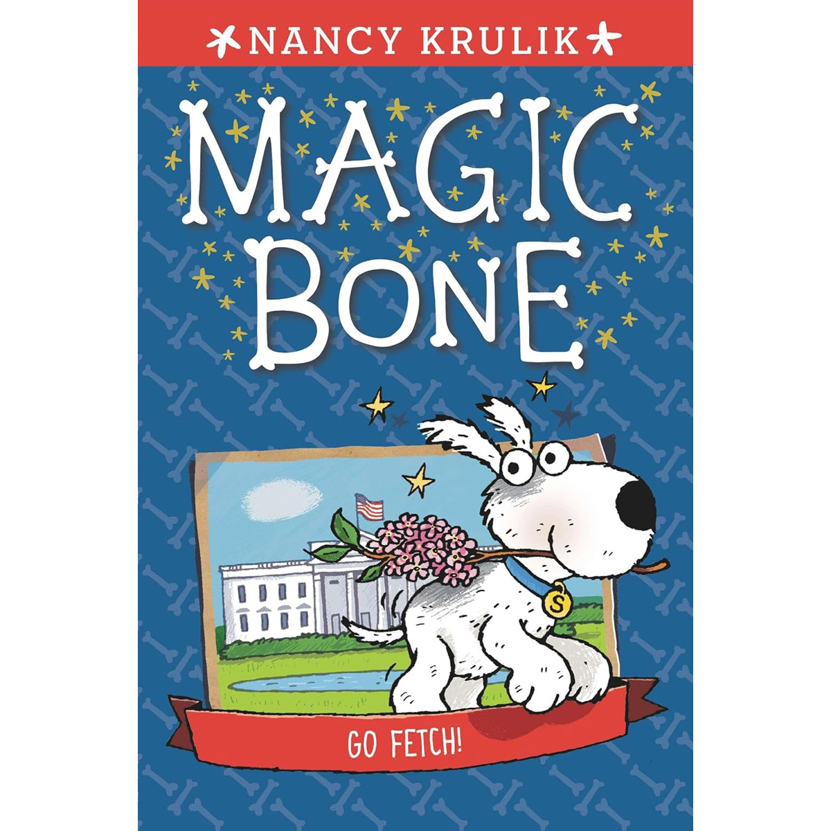 Magic Bone #5 : Go Fetch!