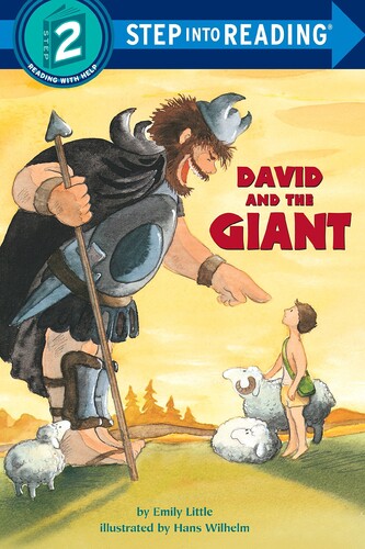 SIR(Step2):David and the Giant***