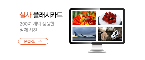 실사 플래시카드 - 280여 개의 생생한 실제사진